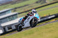 PJ-Motorsport-2019;anglesey-no-limits-trackday;anglesey-photographs;anglesey-trackday-photographs;enduro-digital-images;event-digital-images;eventdigitalimages;no-limits-trackdays;peter-wileman-photography;racing-digital-images;trac-mon;trackday-digital-images;trackday-photos;ty-croes